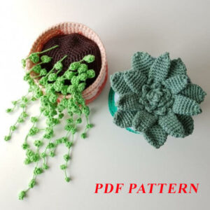 : 2 In 1 Plants , Pea Plant, Succulent Plant, , Home Decor Crochet Pattern PDF
