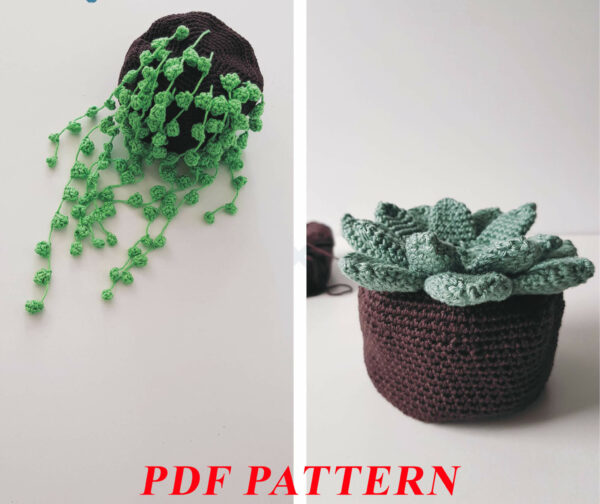 : 2 In 1 Plants , Pea Plant, Succulent Plant, , Home Decor Crochet Pattern PDF