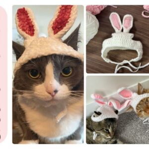 : Bunny Hat For Cats, Pdf Pattern For You, Bunny Hat For Cats With Ear Holes,  For Cat Lovers Crochet Pattern PDF
