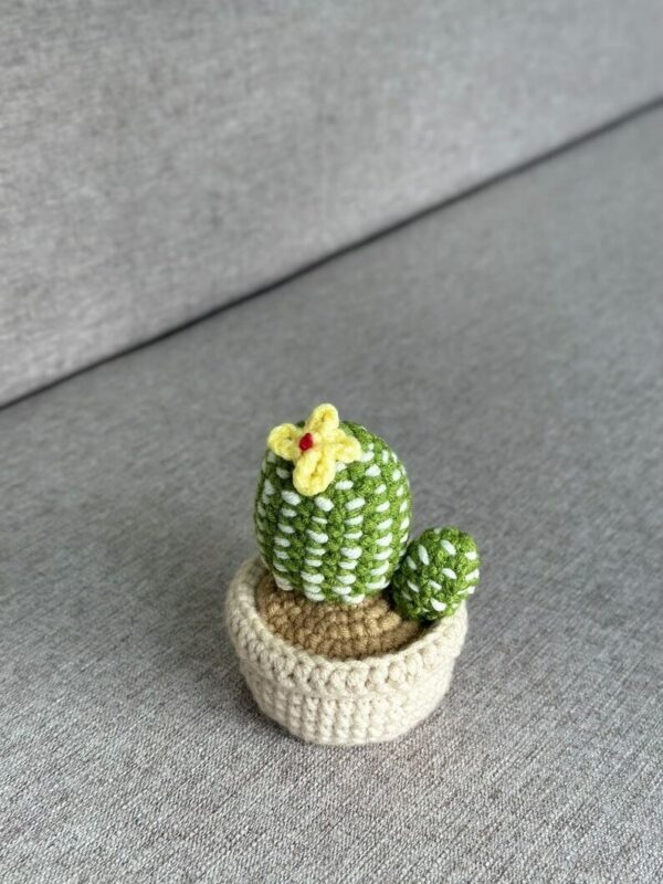 : Cactus Plants Crochet, Pdf Instant Download, Amigurumi s Beginner Easy Simple Basic Tree Succulent Crochet Pattern PDF
