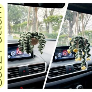Car Plants  Bundle, Fern Plants, Drooping Flower Basket, , Car Decor Crochet Pattern PDF