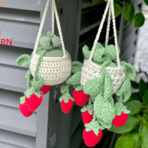 : Car Plants Hanging Strawberry, Pdf Instant Download, Amigurumi Crochet Car Plants Hanging Patterns Crochet Pattern PDF