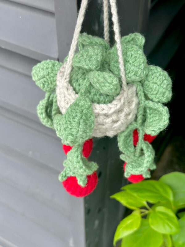 : Car Plants Hanging Strawberry, Pdf Instant Download, Amigurumi Crochet Car Plants Hanging Patterns Crochet Pattern PDF