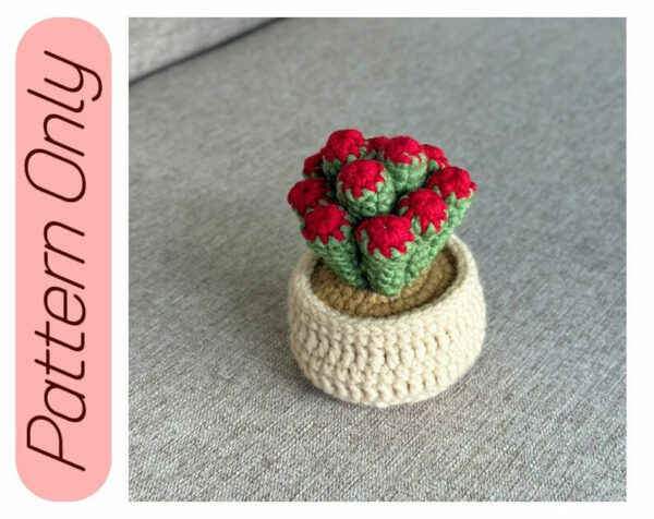 : Crassula Ovata Hobbit Plants, Pdf Instant Download, Amigurumi s Beginner Easy Simple Basic Tree Succulent Crochet Pattern PDF