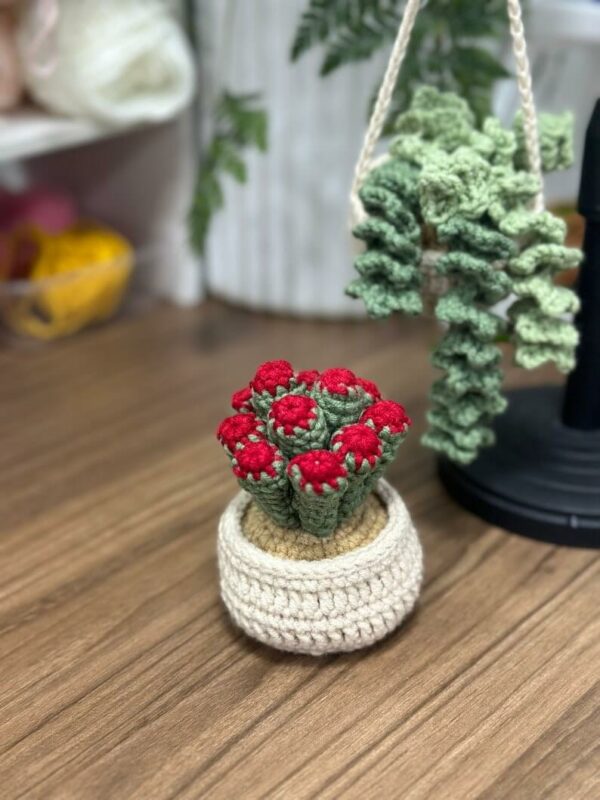 : Crassula Ovata Hobbit Plants, Pdf Instant Download, Amigurumi s Beginner Easy Simple Basic Tree Succulent Crochet Pattern PDF