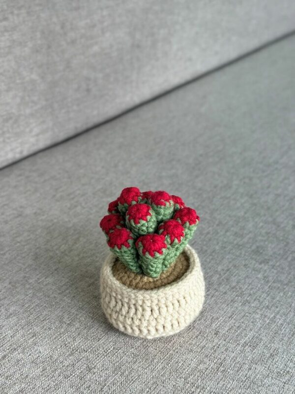 : Crassula Ovata Hobbit Plants, Pdf Instant Download, Amigurumi s Beginner Easy Simple Basic Tree Succulent Crochet Pattern PDF