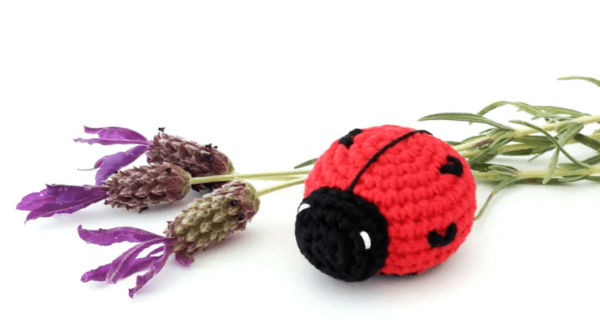 Crochet Keychain Love Bug Pattern Pdf, Crochet Bug Amigurumi Pattern Crochet Pattern PDF