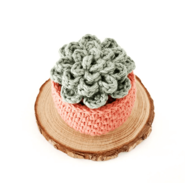 Crochet Keychain Succulent Pattern Pdf, Crochet Succulent Amigurumi Pattern Crochet Pattern PDF