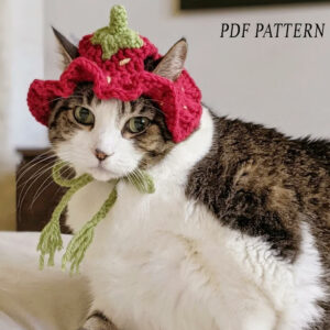 : Crochet Strawberry Pet Hat Pattern, Crochet Strawberry Pattern, Pet Hat  Crochet Pattern PDF