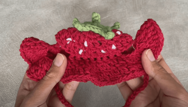 : Crochet Strawberry Pet Hat Pattern, Crochet Strawberry Pattern, Pet Hat  Crochet Pattern PDF