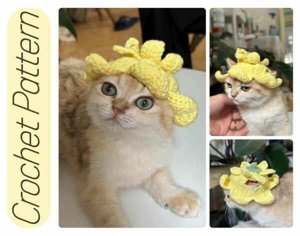 : Flower Fairy Hat, Hat For Cat, , Cat Crochet, Crochet For Pet, Pdf Instant Download Crochet Pattern PDF