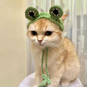 : Frog Hat For Cats, Pdf Pattern For You, Pattern To Crochet A Cat Frog Hat,  For Cat Lovers Crochet Pattern PDF