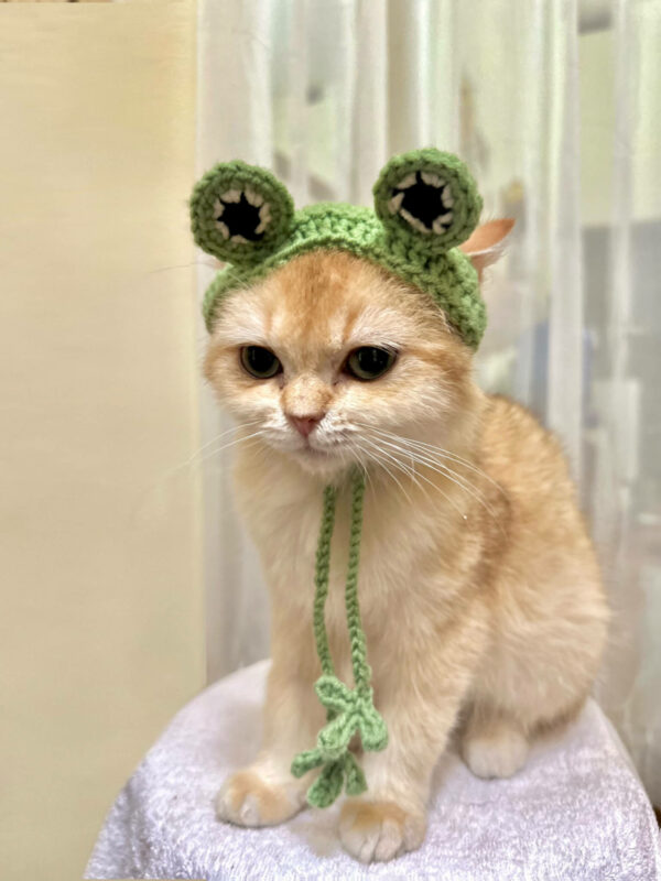 : Frog Hat For Cats, Pdf Pattern For You, Pattern To Crochet A Cat Frog Hat,  For Cat Lovers Crochet Pattern PDF