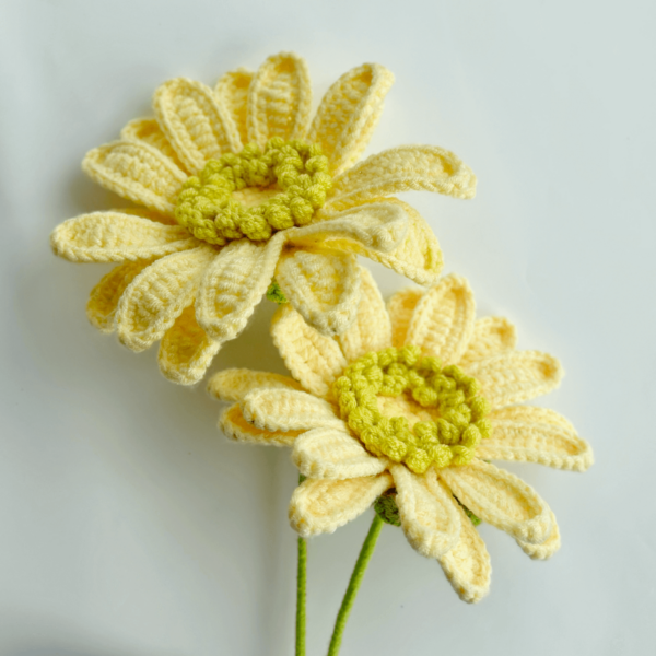 : Gerbera Flower , Crochet Flower Bouquet Pattern, Crochet Flower Pattern Crochet Pattern PDF