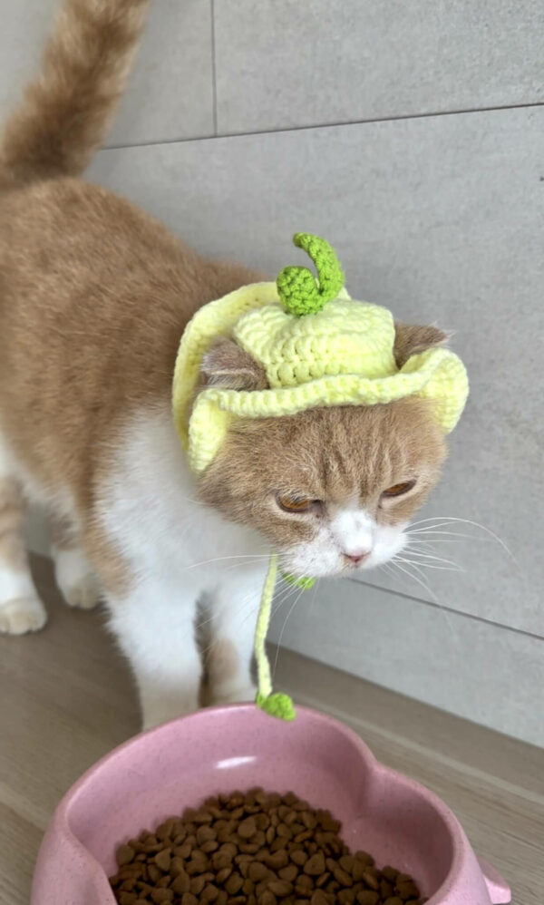 : Lemon Hat For Cats, Pdf Pattern For You, Pattern To Crochet A Cat Lemon Hat,  For Cat Lovers Crochet Pattern PDF