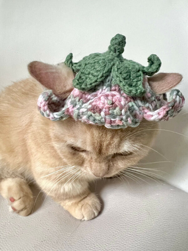 : Mix Colour Flower Hat For Cats, Pdf Pattern For You, Pattern To Crochet A Cat Mix Colour Flower Hat,  For Cat Lovers Crochet Pattern PDF