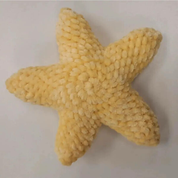 : Sea Star Crochet With Butter, Pdf Pattern For You, Sea Star For Lover, Sea Animals  Crochet Pattern PDF