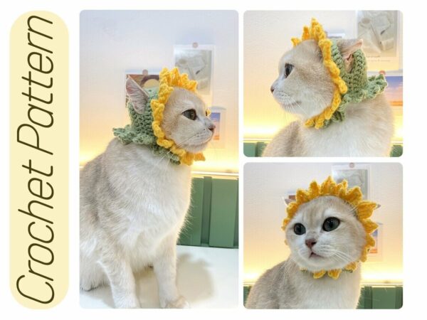 : Sunflower Hat For Cats, Pdf Pattern For You, Pattern To Crochet A Cat Sunflower Hat/costume,  For Cat Lovers Crochet Pattern PDF